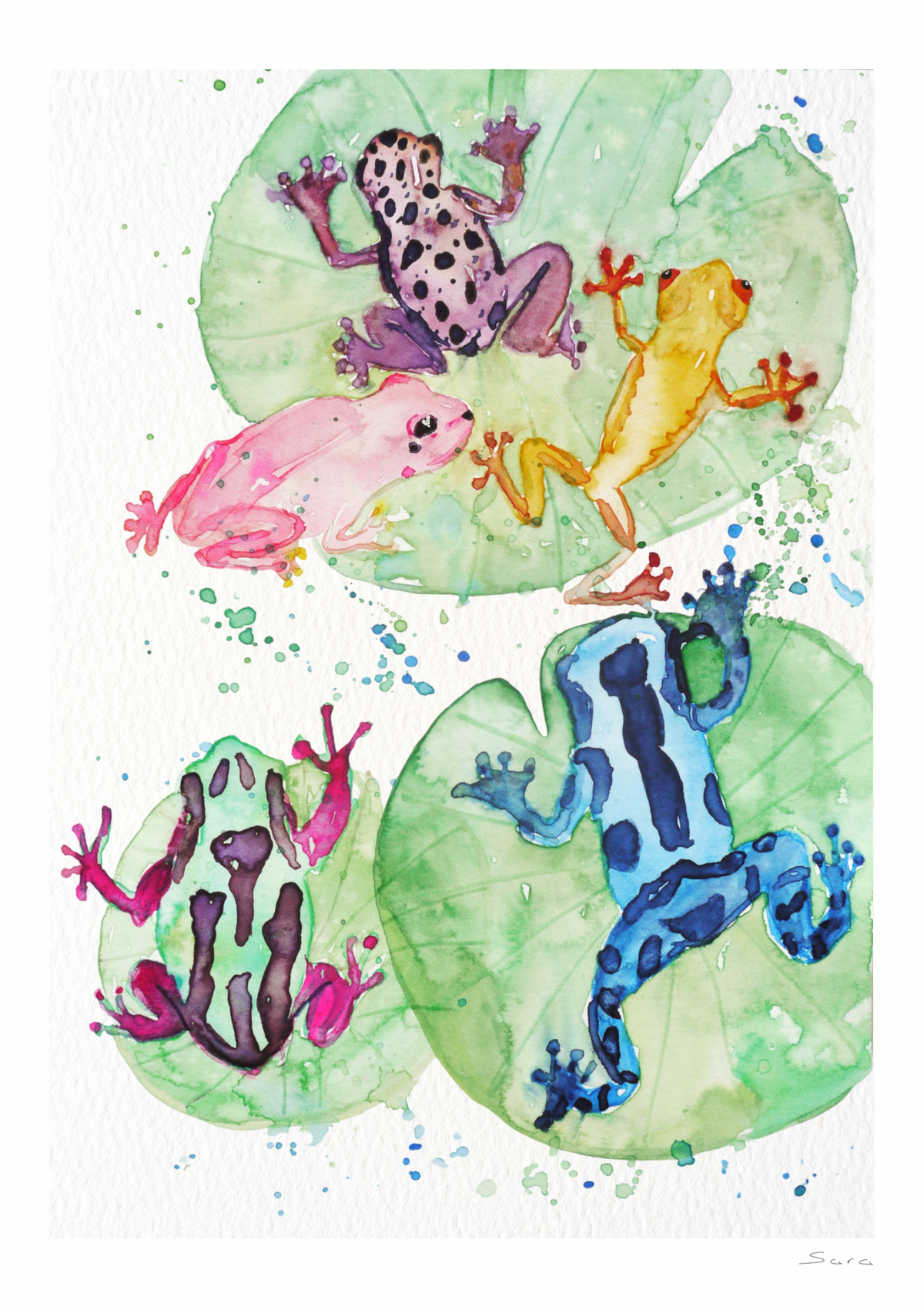 Froglets